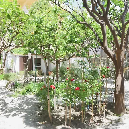 Hotel Cesotta 3*