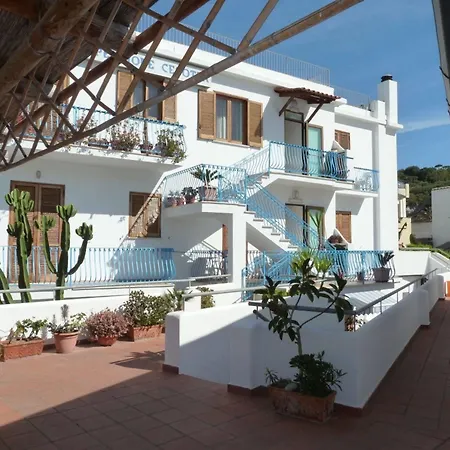 Cesotta 3*
